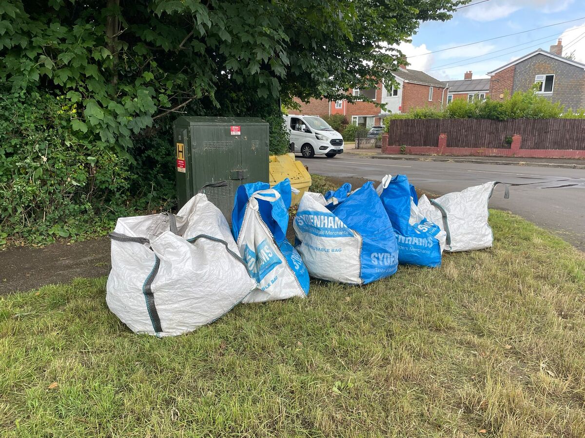 Verge Clearing West Common 6 June 2025